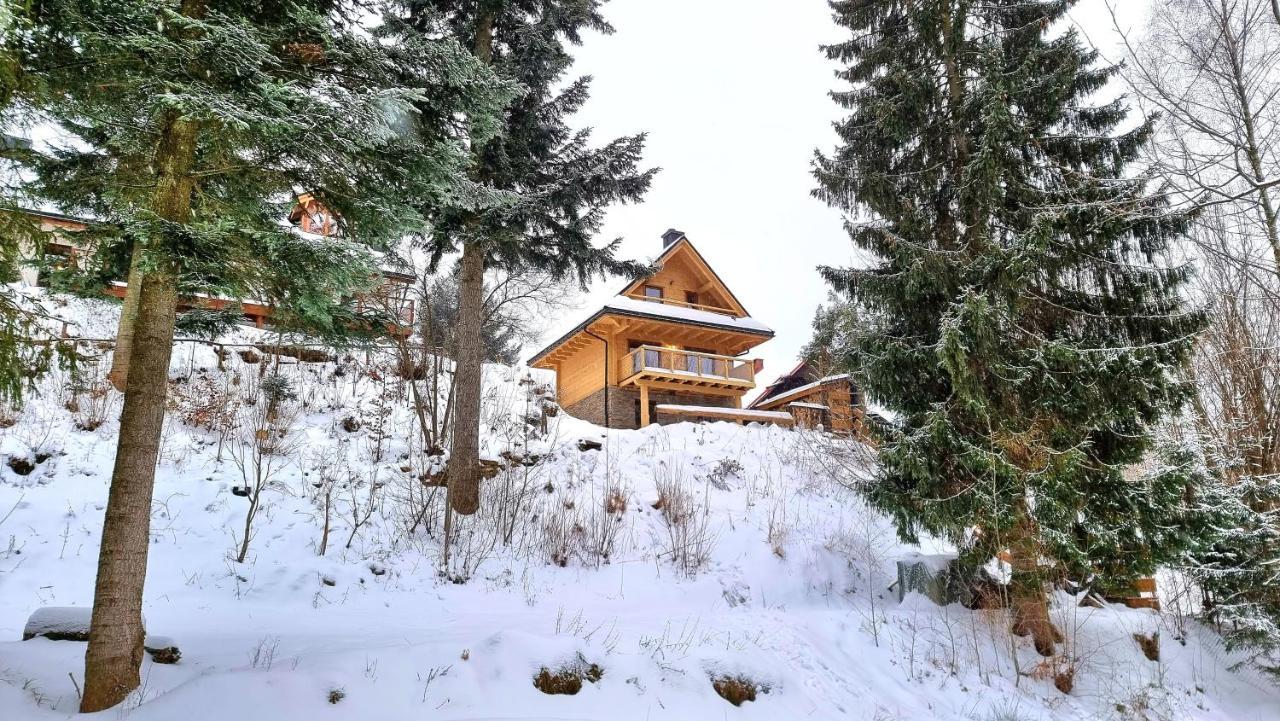 Rezydencja Barrettski Wisla Luaran gambar