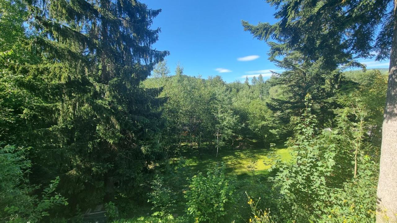 Rezydencja Barrettski Wisla Luaran gambar