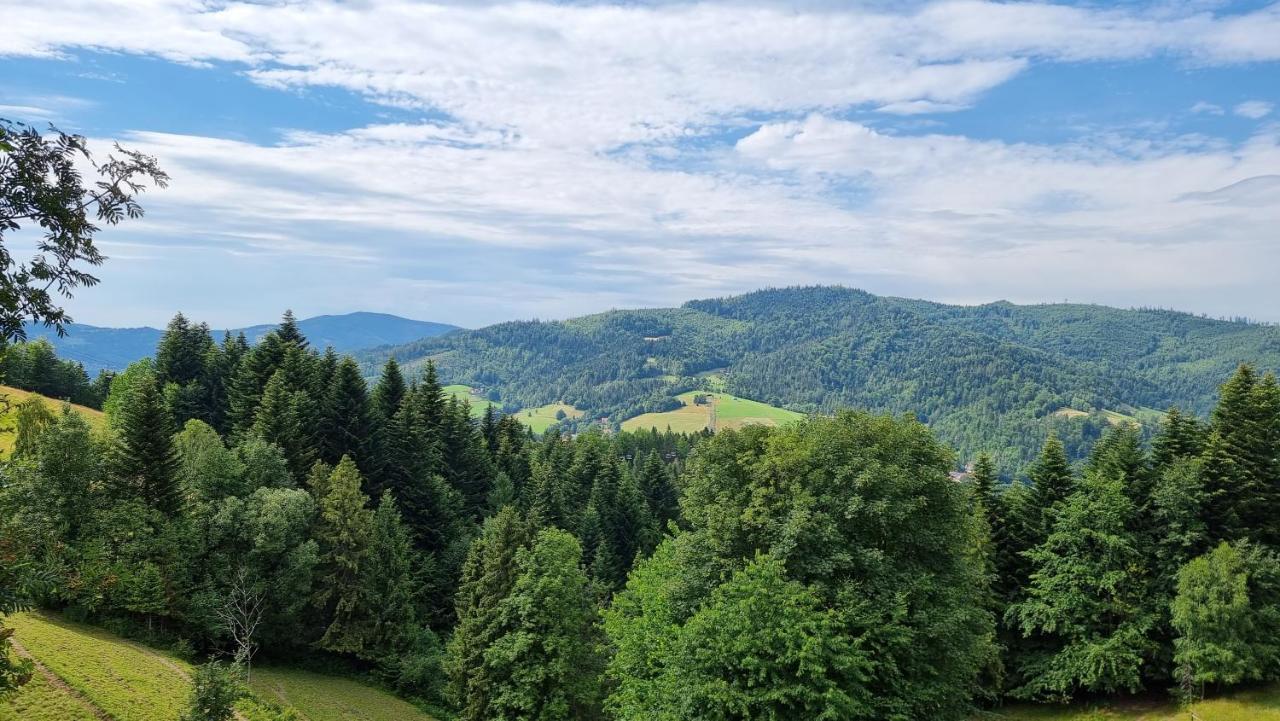 Rezydencja Barrettski Wisla Luaran gambar