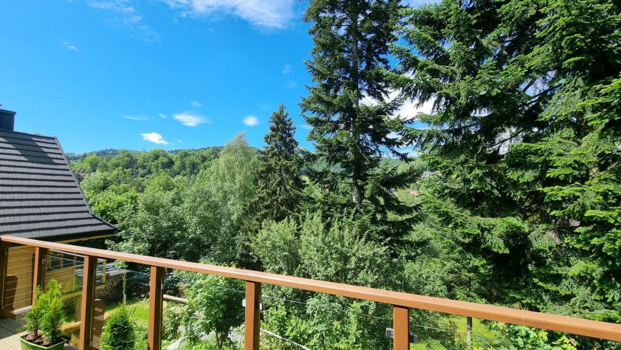 Rezydencja Barrettski Wisla Luaran gambar